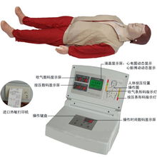 博友品牌供應(yīng)2010版心肺復(fù)蘇指南 電腦心肺復(fù)蘇模擬人