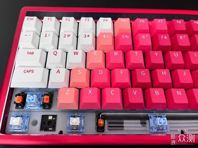 雙十一撿漏指南 達爾優A84 Pro、A900虎擎、拾音燈三款好物分享
